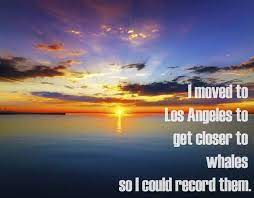 If Nick Miller Quotes Were Motivational Posters Nick Miller Quotes Nick Miller Motivational Posters