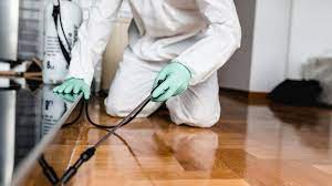 Our professional technicians and pest exterminators can help you with any insect and pest problems and guarantee to get rid of them for good. 31 Best Pest Control Companies In Singapore 2021 Best In Singapore