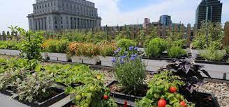 More unique ideas for the best rooftop gardens. In Urban Jungles Rooftop Gardens Can Make A World Of Difference
