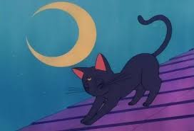Uploaded By Asa Find Images And Videos About Anime Aesthetic And Cat On We Heart It The App To Sailor Moon Aesthetic Sailor Moon Cat Sailor Moon Wallpaper