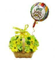 Check spelling or type a new query. Roanoke Florist Roanoke Va Flower Delivery Avas Flowers Shop