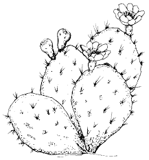 Our free coloring pages for adults and kids, range from star wars to mickey mouse 87 Coloring Texas Coloring Book Ideas Texas Coloring Pages Texas History