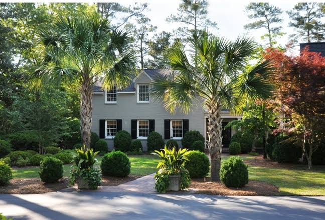 The Perfect Palm - Columbia Metropolitan Magazine