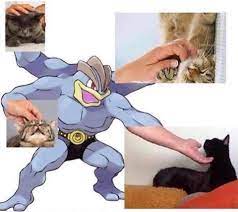 The real reason to use Machamp : r/pokemon