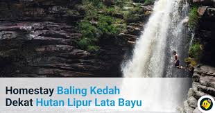 May 28, 2009 · filed under uncategorized · tagged air terjun, alam sekitar, angsi, gunung, hijau, negeri sembilan. Homestay Dekat Lata Bayu Baling Kedah C Letsgoholiday My