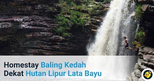 Air terjun adalah formasi geologi dari arus air yang mengalir melalui suatu formasi bebatuan yang mengalami erosi dan jatuh ke bawah dari ketinggian. Homestay Dekat Lata Bayu Baling Kedah C Letsgoholiday My