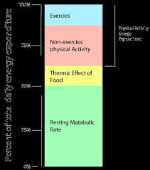 Image result for Energy Deficit Calculation