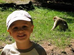 Stuart Maynard-Keene