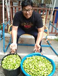 Cara membuat jeruk belimbing buluh. Fuhhh Menitik Air Liur Kecur Mulut Bila Tengok Abang Ni Kongsi Resepi Nak Buat Jeruk Belimbing Buluh