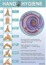 A comparison of hand washing techniques to remove escherichia coli and caliciviruses under natural or artificial fingernails. Hand Hygiene Pha Infection Control