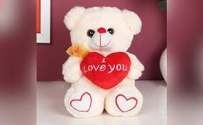 Top 10 I Love You Gift Ideas For Girlfriend Floweraura