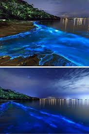 Bioluminescent Beach Puerto Rico Fajardo Bioluminescent Bay Fajardo Puerto Rico Travel Bioluminescent Bay Beaches In The World