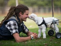 Animal Crush Of The Week Frostie The Goat Takes First Steps With Images Baby Goats Animal Lover Quotes Goats