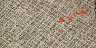 This unique style offers a floral design that will add a vintage feeling to your home. Milliken Carpet Reviews And Prices 2021