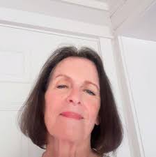 Pressure washing service in Brevort?