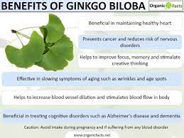 Ginkgo biloba, ginkgo biloba is vitamin b3 and copper rich fruit support for depression, cognitive abilities, fights fibromyalgia & maintain eye health. Pin On Remedios Naturales