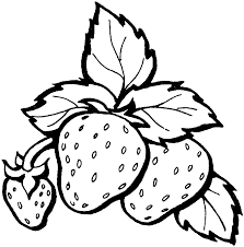 Buah ini memang bukan buah asli indonesia, namun sekarang. Strawberry Shortcake Coloring Pages Buku Mewarnai Gambar Kelinci Warna