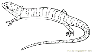 We did not find results for: Lizard Coloring Page For Kids Free Lizard Printable Coloring Pages Online For Kids Coloringpages101 Com Coloring Pages For Kids