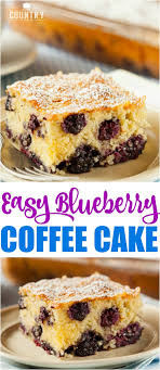 Easy Fresh Blueberry Biscuit Cake Recipe Bisquick Coffee Cake Recipe Coffee Cake Recipes Blueberry Recipes