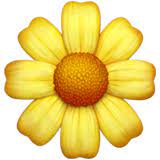 Blossom Emoji Meaning Copy Paste
