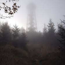 Cheryl damberg is the distinguished chair in health care payment policy and principal senior researcher at the rand corporation, . Damberg Steyr Aktuelle 2021 Lohnt Es Sich Mit Fotos Tripadvisor