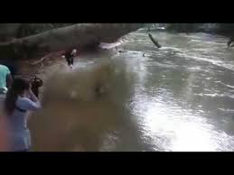 Emas sador terbaik pengganti emas tulin. 5 19 Mb Permainan Silat Pulut Eman Manan Dalam Keris Hitam Bersepuh Emas Download Lagu Mp3 Gratis Mp3 Dragon