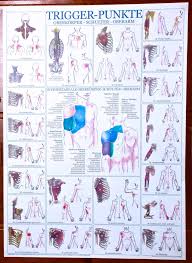 Trigger Point Chart Single