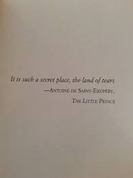 It Is Such A Secret Place The Land Of Tears It Is Such A Secret Place The Land Of Tears Antoine De Saint Exupery The Little Prince Little Prince Quotes Prince Quotes Words Quotes