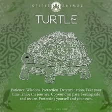 Turtle Symbolism Turtle Spirit Animal Soul Flower Blog Turtle Spirit Animal Turtle Symbolism Spirit Animal Meaning