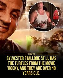 Sylvester Stallone still has the turtles from Rocky. They're 49 years old.