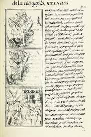 The Florentine Codex Is A 16th Century Ethnographic Research Study In Mesoamerica By The Spanish Franciscan Fri In 2020 Edible Wild Plants Native People Ancient Aztecs