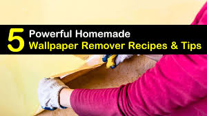 homemade wallpaper remover recipes 5