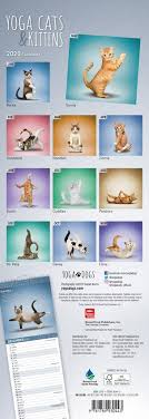 Currently working off of @workmanpub 2020 day calendar link in description. Yoga Cats Kittens 2020 Slim Wall Calendar By Browntrout Publishing 9781789930443 Booktopia