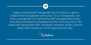 International transgender day of visibility occurs every year on march 31 as a way of recognizing trans people worldwide. Zfmjyczpl 5vjm