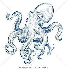 Vintage Octopus Hand Drawn Squid Engraved Ocean Animal Etching Octopus Vector Illustration Squid Octopus Drawing Octopus Art Drawing Octopus Illustration