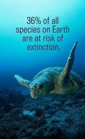 There Are More Endangered Species Than I Was Aware Of I Fear This Number Will Continue To Grow Be Endangered Sea Animals Endangered Species Endangered Animals