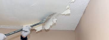 Check spelling or type a new query. How To Remove Popcorn Ceiling Texture Crescent Ace Hardware Local Hardware Store In Clifton Park Ny