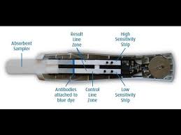 Pregnancy Test Pill Inside Pregnancy Test Kit
