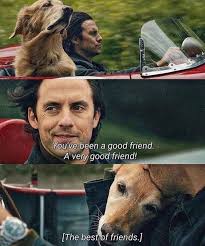 15 Life Movie Quotes Touche Our Hearts Ibeautybook In 2020 Movie Quotes Best Movie Quotes A Dogs Purpose Quotes