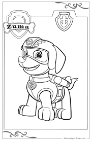 From ancient times people are fond of our site collected the brightest. 39 Paw Patrol Ausmalbilder Zuma Besten Bilder Von Ausmalbilder