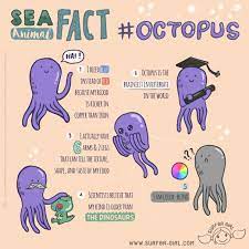 Before Getting Busy With Our Day What Do You Say We Give Our Brain A Warm Up About An 8 Armed Creat Fun Facts For Kids Kids Fun Learning Animal Facts
