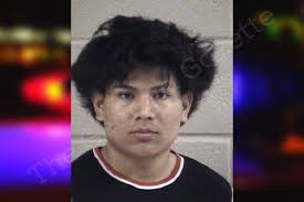 Maynor Martinez — Whitfield County Jail Bookings