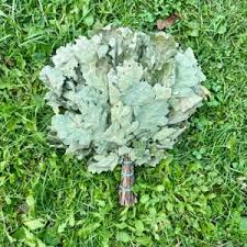 Чем полезна сауна для женщин после тренировки