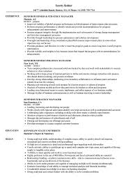 business strategy manager resume