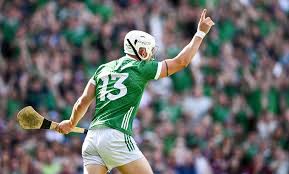 Kilkenny V Clare: Throw-In Time, Tv And Live Stream Details For National  Hurling League Final | Irish Independent