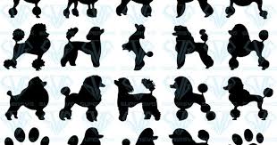 Download Clip Art Use With Silhouette Studio French Poodle Svg Clipart Files Ca263 Svg File Silhouette Dxf Files Eps File Cricut Art Collectibles