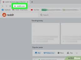Reddit is the gospel truth on absolutely everything a social media content aggregation website that bills itself as the front page of the internet (for trolls, it certainly is). How To Use Reddit 11 Steps With Pictures Wikihow