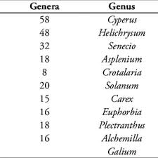 Image result for Kotschya prittwitzii