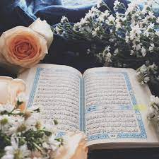Free for commercial use no attribution required high quality images. 550 Quran Pictures Download Free Images On Unsplash