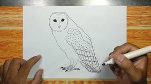 Maybe you would like to learn more about one of these? Realistic Barn Owl Drawing Step By Step Youtube